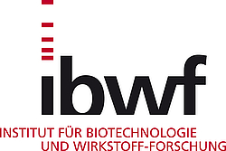 Institut für Biotechnologie und Wirkstoff-Forschung (Link zur Website)