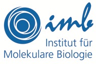 Institut für Molekulare Biologie (IMB) (Link zur Website)