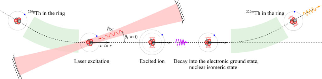 Schema der Laser Anregung des 229mThorium Isomers in einem Beschleunigerring. (Abb./©: A. Petrenko)