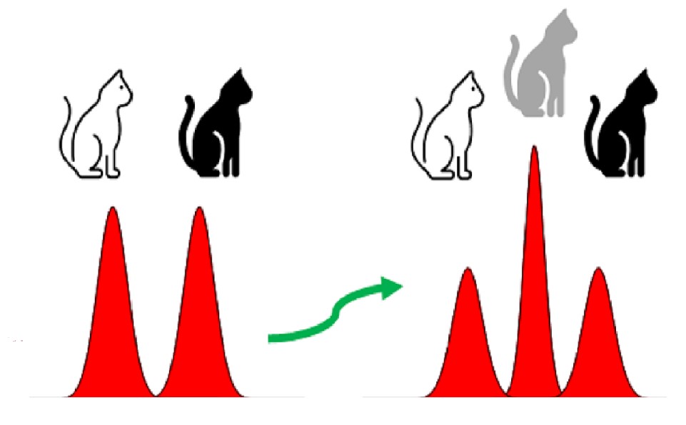 Optische Amplitudenverteilung innerhalb des erzeugten photonischen Laserpulses. Bereits der erste Schritt, das Generieren eines "Schrödinger-Katzen-Zustands", das heißt einer Quantenüberlagerung zweier makroskopisch unterscheidbarer Zustände (weiße oder schwarze Katze), bedarf moderner quantenoptischer Methoden, wurde aber bereits zuvor demonstriert. Im aktuellen Experiment konnte die Überlagerung auf drei Zustände (weiße, graue oder schwarze Katze) erweitert werden. Der finale Lichtzustand nähert sich dadurch einem universell fehlerkorrigierbaren, logischen Quantenzustand an. (Abb./©: Peter van Loock)