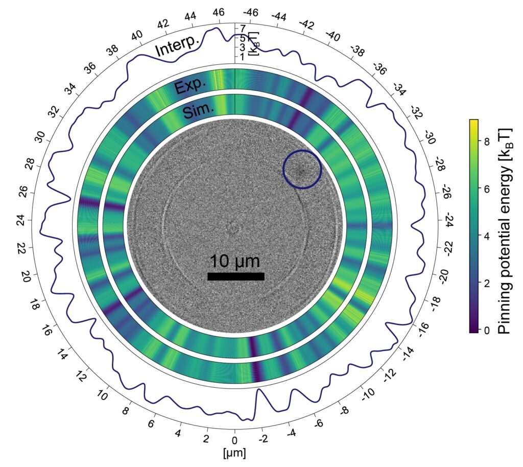 Magnetooptische Mikroskopaufnahme eines Skyrmions in einem Ring magnetischen Materials: Die wegen Materialfehlern ortsabhängige Energie wird von den Simulationen hervorragend reproduziert und ist im äußeren Graphen hochaufgelöst dargestellt. (Abb./©: Maarten A. Brems & Tobias Sparmann)