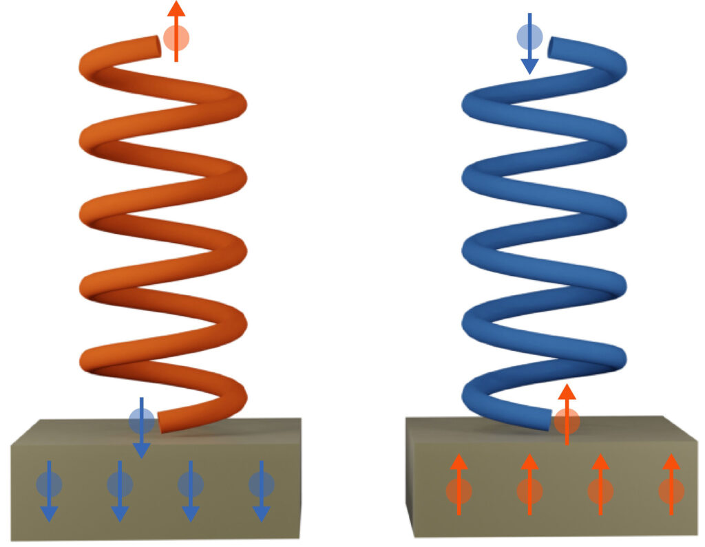 Helix als Spin-Filter (Abb./©: Angela Wittmann)