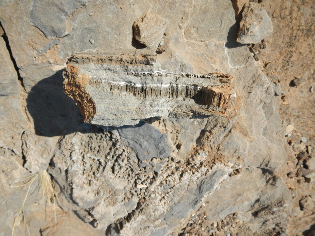 Marmor aus Namibia: Ausgehend von einer Spalte, die mit weißem Kalziumkarbonat gefüllt ist, sind Röhrchen in paralleler Anordnung nach unten gewachsen. (Foto/©: Cees Passchier)