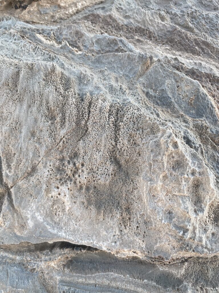 Ansicht eines Marmorblocks in Namibia von oben mit einer Gruppe von Röhrchen, die ein Organismus in das Gestein gebohrt hat (Foto/©: Cees Passchier)