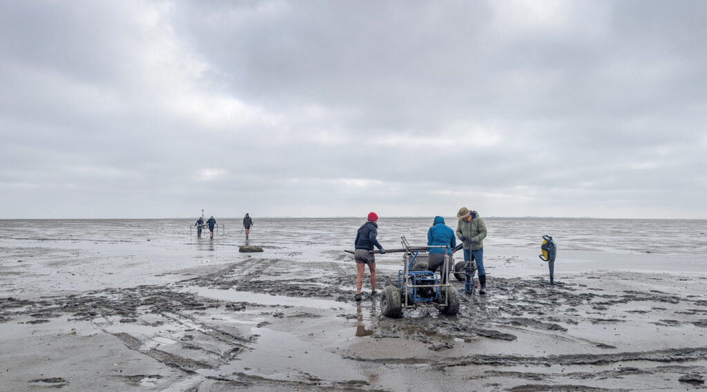 Mit Geophysik und Bohrungen werden im nordfriesischen Watt Kulturspuren erfasst, die über archäologische Grabungen nicht erreichbar sind. (Foto/©: Hanna Hadler)