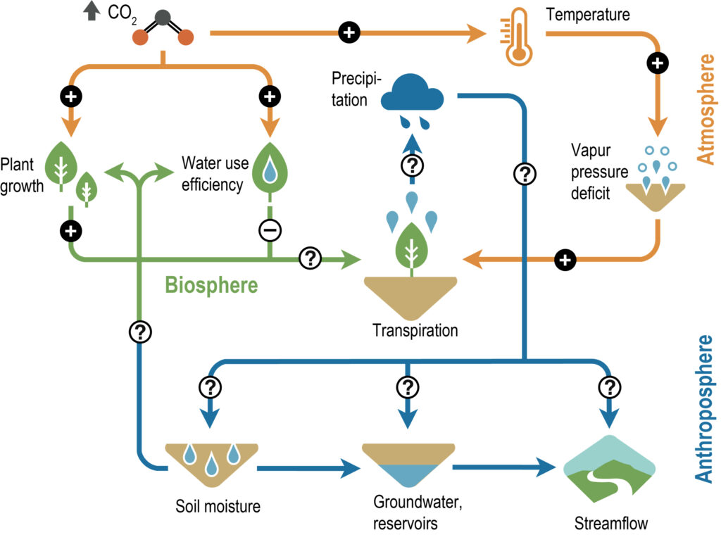 Die Wechselwirkungen zwischen Pflanzen, Klima und Umwelt sind komplex und kontrollieren auch die Transpiration und Wassernutzungseffizienz von Pflanzen. (Abb./©: Jan Esper)