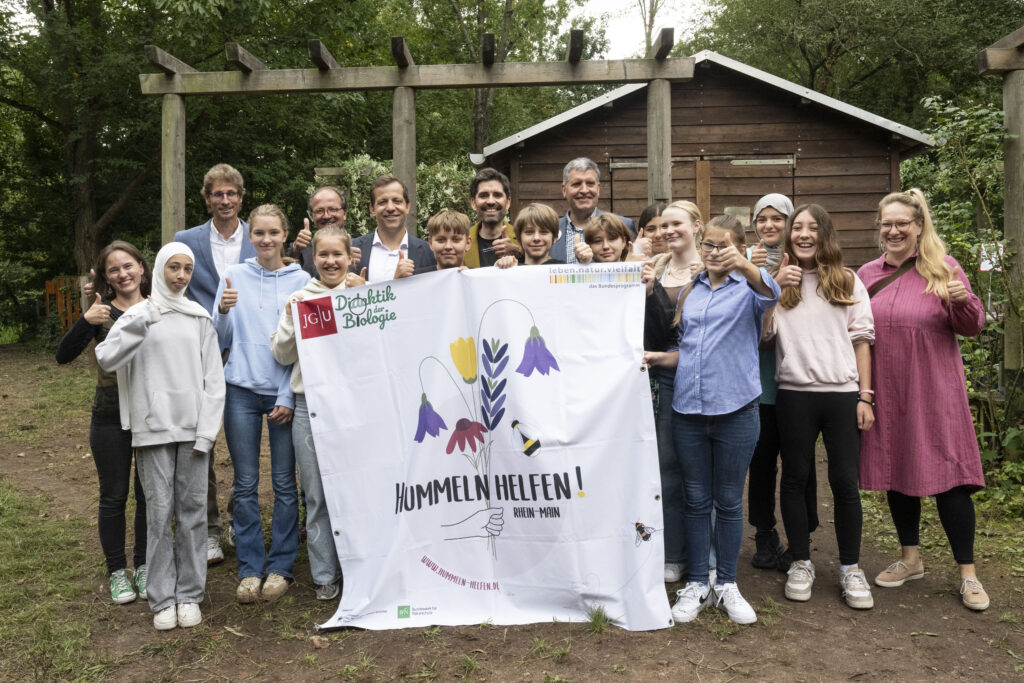Bildungsminister Sven Teuber und Oberbürgermeister Nino Haase zu Besuch bei „Hummeln helfen! Rheinland-Pfalz“ in einem Wahlpflichtkurs Ökologie an der IGS Bretzenheim (Foto: Peter Pulkowski)