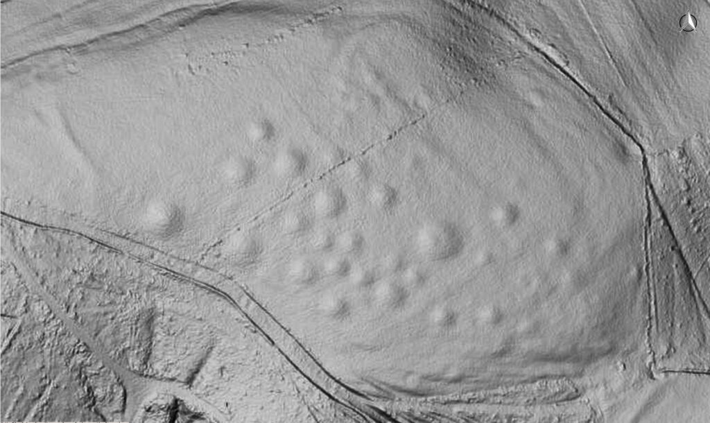 Ein gut erhaltenes Feld prähistorischer Grabhügel in Luxemburg, sichtbar auf einer LiDAR-Höhenkarte (Foto/©: Creative Commons Zero (CC0))