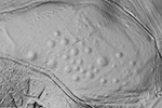 Ein gut erhaltenes Feld prähistorischer Grabhügel in Luxemburg, sichtbar auf einer LiDAR-Höhenkarte (Foto/©: Creative Commons Zero (CC0))