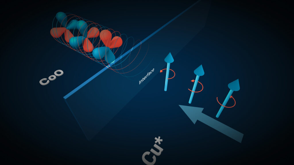 Ein in Kupfer (Cu*) erzeugter Orbitalstrom lässt sich erstmals effizient an Orbitalmomente in Kobaltoxid (CoO) koppeln. (Abb./©: Mathias Kläui, JGU)