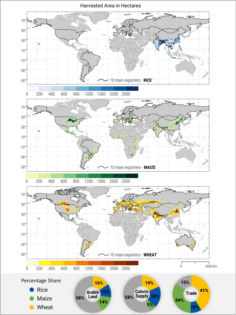 Weltweite Hauptanbaugebiete von Reis, Mais und Weizen mit Hervorhebung der Grenzen der zehn wichtigsten Exportländer. Die Ringdiagramme zeigen die Anteile der drei wichtigsten Kulturpflanzen an der globalen Ackerfläche, der Kalorienversorgung und am Handel mit Agrarerzeugnissen. (Abb./©: Trnka et al., Earth's Future 14 (2026), e2025EF006095, CC BY 4.0)
