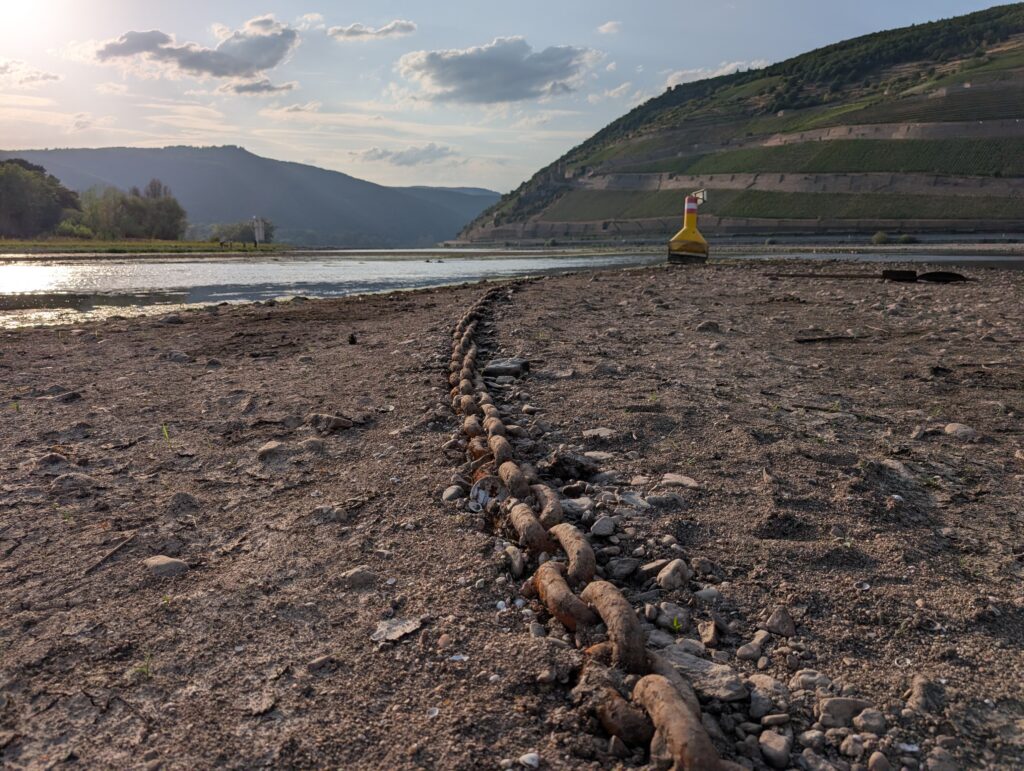 Das Foto zeigt die Nahe-Mündung in den Rhein im Sommer 2026 (Foto/©: Robert Reinecke)